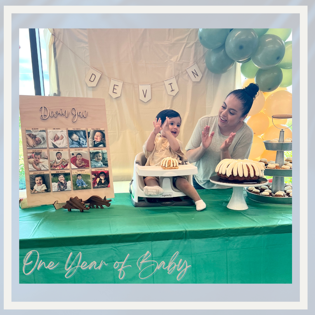 One Year of Baby Sign