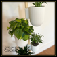 The Rail - Tri Pod Plant Stand